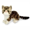 Plush animal cat dolls, realistic plush fat cats, Children's Day toys and gifts, quality guaranteed, wholesale in stock Application Scenario